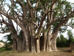 283339_10150257390949901_3221963_n